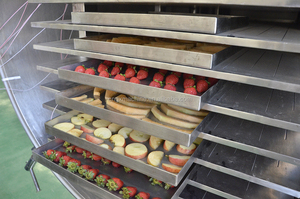 Équipement professionnel de lyophilisation sous vide pour tranches de melon Honeydew et cubes de melon <span class=keywords><strong>Galia</strong></span>, destiné à la transformation de mélanges de melons industriels - Product Image 3