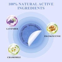 Patch transdermique de nutrition corporelle Leiqier éco-responsable avec logo personnalisé, pour le bien-être et la silhouette parfaite