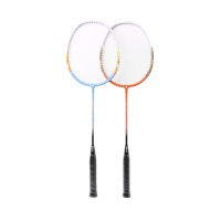 Raquette de badminton de qualité professionnelle en acier PU tissé, légère, de haute qualité, pour joueurs avancés, entraînement en salle/extérieur, modèle HIBO