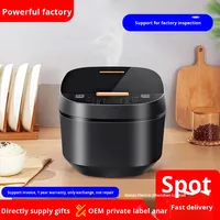 Autocuiseur Électrique Multifonctionnel Carré 5L avec Couvercle en Verre, Minuteur, Prise en Charge de la Langue Néerlandaise, Puissance 800W pour Usage Domestique