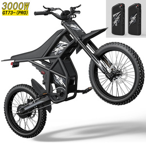 Best Selling Electric Bike 3000 - High Power & Long Range 2025