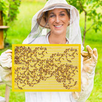 8 Frame Plastic Bee keeping Queen Exc luder, um die Königin von Honey Bee Hive Boxes getrennt zu halten