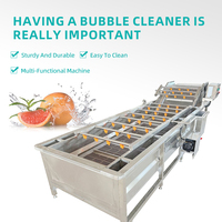 Groente- en fruitwasmachine met luchtbellen, SS304 staal, CE-gecertificeerd.