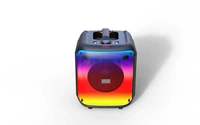 Enceinte de fête portable DJ de luxe avec lumière LED 8 pouces, caisson de basses TWS, haut-parleur Bluetooth grand format
