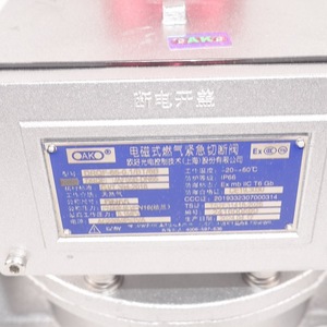 วาล์วปิดฉุกเฉินแก๊ส OAKO รุ่น DRQF-65-0.1 แรงดัน 1 บาร์ รีเซ็ตด้วยมือ สำหรับระบบแก๊ส - Product Image 4