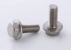 Pernos hexagonales con brida de acero inoxidable DIN6921 SS304 316 M5 M6 M8 M12 M14 M16 - Product Image 2