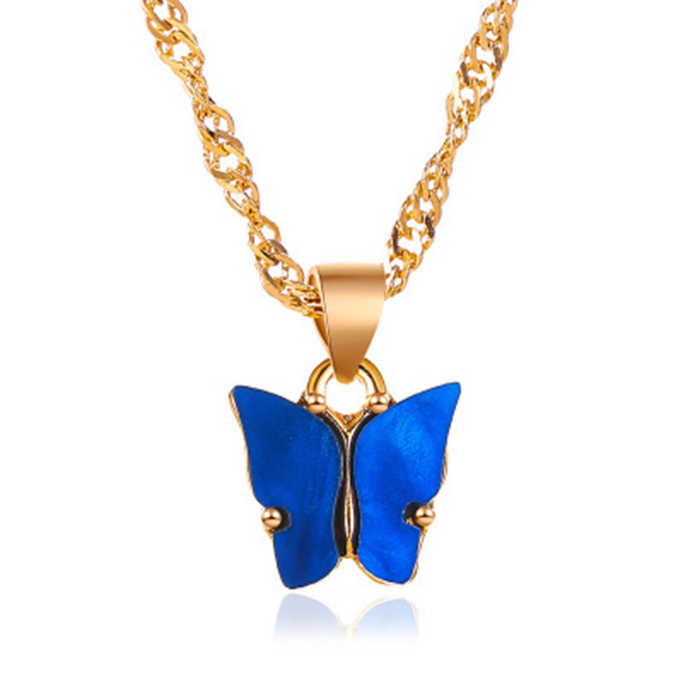 Papillon(1)