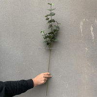 A-082 Veelgebruikte Eucalyptus tak plant bloemstuk enkele kunstmatige eucalyptus bladeren tak steel