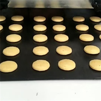 Machine à Déposer les Biscuits Automatique Commerciale - Utilisation en Boulangerie, Acier Inoxydable 304, Haute Capacité 100-1000 kg/h, à Base de Farine et de Lait