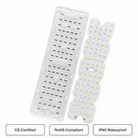 Kit de module LED de remplacement 80 LED 3030 SMD 50W avec lentille 236x70mm 8S10P DC 48V pour éclairage de tunnel et de rue