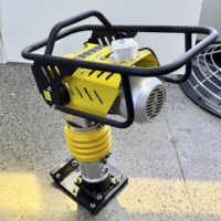 Pilon vibratoire électrique ZRCG 3KW pour compactage de sols et construction routière
