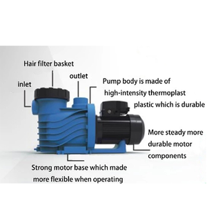 Bơm tuần hoàn bể bơi và Lọc Cát BƠM BỂ BƠI tự mồi với giỏ lọc - Product Image 4