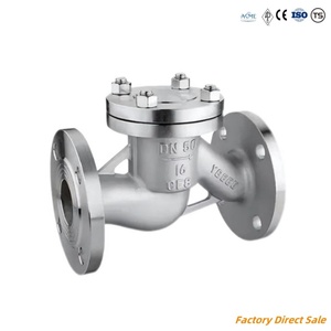 API 6D Industrie flansch Wafer Gusseisen geschmiedetes Edelstahl Kugel schaukel Rückschlag ventil - Product Image 5