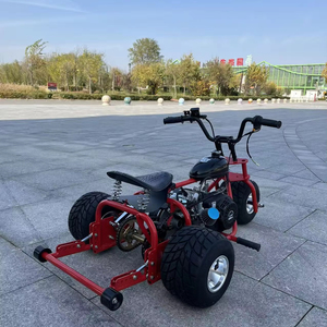 <span class=keywords><strong>Trike</strong></span> de course à 4 temps de 212 cm3, <span class=keywords><strong>moteur</strong></span> de 7,5 CV, vitesse maximale de 60 km/h, kart à trois roues tout-terrain pour adultes - Product Image 5