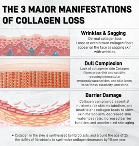 Sérum de Colágeno Solúvel OEM por Atacado em Ampolas, Sérum Facial Anti-Envelhecimento para Cuidados com a Pele - Product Image 3