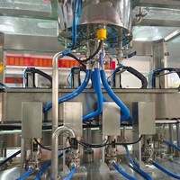 Pengisi mesin pengisi piston jam saus sarang burung walet otomatis kapasitas produksi tinggi