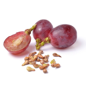 Hot bán chiết xuất hạt nho proanthocyanidins hạt nho 95% <span class=keywords><strong>OPC</strong></span> - Product Image 3