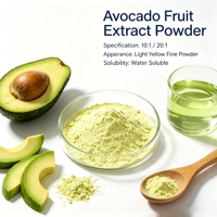 Poudre d'extrait de fruit d'avocat 10:1 20:1 30:1 Ingrédient naturel soluble dans l'eau