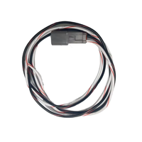 Connettore Automobilistico Impermeabile AMP DT04-2P a 2 Pin per Collegamento Scheda di Controllo Veicoli Elettrici