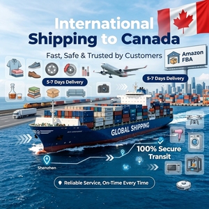 Transitario Logístico Profesional DDP a Canadá con Entrega Aérea Rápida y Tarifas Económicas para Vendedores de Shopify, <span class=keywords><strong>Wish</strong></span> y TikTok - Product Image 6