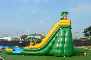 Piscine gonflable d'enfants de glissière d'eau du jardin 20ft avec la glissière à vendre - Product Image 5