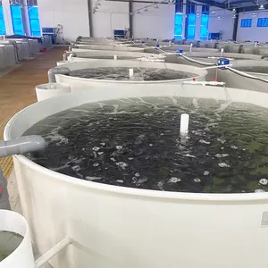 8000 Liter Diameter 3m X Height 1.2m Tank Fish Farming RAS Fish Tank