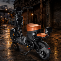 Trottinette électrique à assistance au pédalage 1000W 60V, moteur de moyeu arrière sans balais, batterie au plomb intégrée, pneu sous vide 14 pouces, double