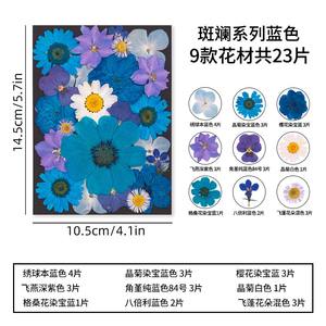 23 pièces/paquet de fleurs séchées pressées colorées pour la résine, marque-page, cadre photo - <span class=keywords><strong>Plante</strong></span> naturelle, Saint-Valentin, Pâques - Product Image 6