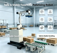 Paletizador Robótico Inteligente, Robot Colaborativo Sin Programación para Línea de Producción de Envasado de Alimentos