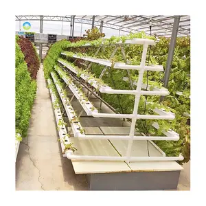 A-Frame Hydro ponic Growing System Mehr schicht iges Flach rohr 100x50mm Gewächshaus pflanzung Landwirtschaft Hydro ponics Grow Kit Systems