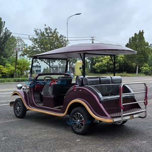 Voiture électrique rétro vintage de luxe personnalisée à 3 rangées pour le tourisme et les centres de villégiature - Product Image 4