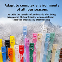 Attaches de câble en nylon de haute qualité 9*400mm attaches à glissière durables autobloquantes pour aire de jeux intérieure pour enfants directement du fabricant