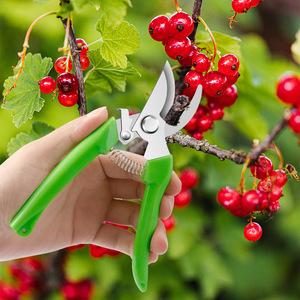 Factory <b>Pruning</b> Shears 30-50 Mm Stainless Steel Strong Cutting Garden <b>Tool</b> For Fruit <b>Tree</b> Trimming - Product Image 3