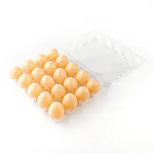 Factory Direct Supply 12 Holes Plastic Egg Tray Factory Price Cheap Transparent Egg Tray With Cover