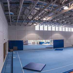 Colchoneta enrollable <span class=keywords><strong>Triflex</strong></span> 12 x 2 m, 35 mm, colchoneta de ejercicio azul claro, tipo enrollable, tipo sin cortar, 12m*2m, en venta - Product Image 6