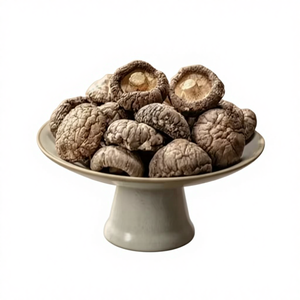 Meilleur prix pour les champignons shiitake séchés - Champignons shiitake séchés de haute qualité, parfaits pour les <span class=keywords><strong>plats</strong></span> et les <span class=keywords><strong>recettes</strong></span> aux champignons forestiers. - Product Image 2