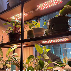 Lampe de culture LED à spectre complet avec minuterie pour plantes vertes, fleurs et légumes, idéale pour l'intérieur, les aquariums, les jardins et les pépinières - Product Image 6