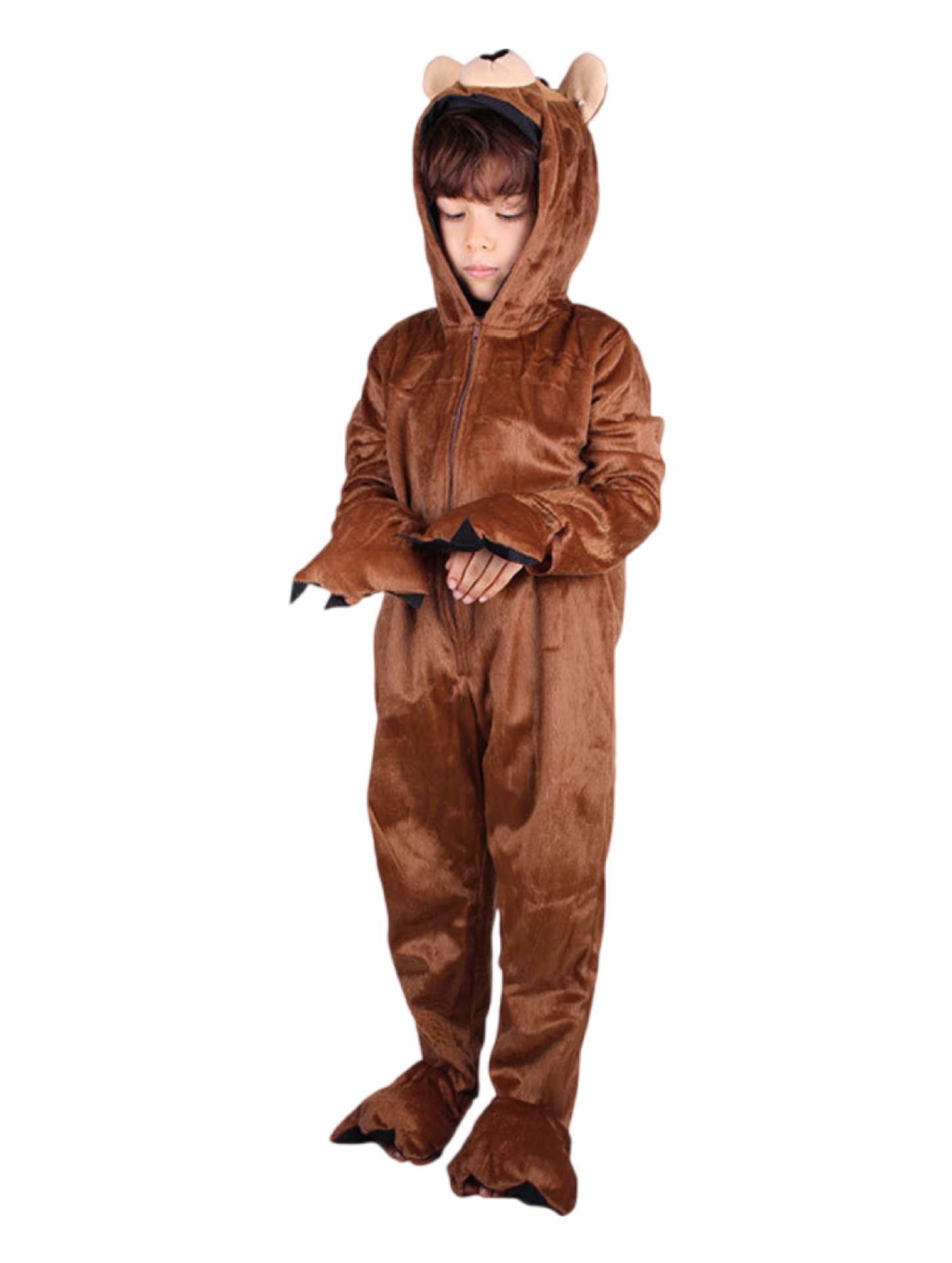 Brown bear