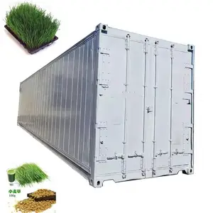 Strawberry Steel Sprouts Mung Bean Machine System Hydroponic Growing Systems Grow Box Indoor Green Corn Fodder Machine