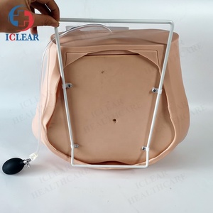 चार-कदम Palpation, गुदा परीक्षा और योनि परीक्षा प्रशिक्षण मॉडल - Product Image 2