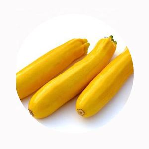 قرعة كوسة صفراء كاملة مجمدة مع شرائح وأنماط مفرومة - Product Image 5