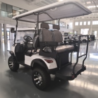 Voiturette de golf électrique surélevée 4 places avec batterie au lithium 48/60V, configuration personnalisée pour clubs, communautés et sites touristiques