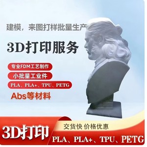 Impression 3D, fabrication de modèles personnalisés, production en petites séries, matériaux PLA, PLA+, TPU, PETG, ABS - Product Image 1