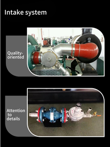 Générateur à gaz 30 kW compact pour usage domestique ou alimentation de secours d'entrepôt, de bonne qualité et capable de produire de l'électricité triphasée - Product Image 3