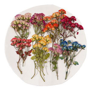 Rosa prensada de resina Real para artesanía, artesanía creativa de resina artesanal - Product Image 1