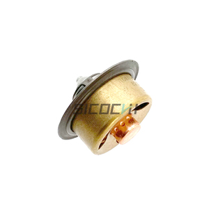Régulateur de thermostat moteur Dz120917 pour pièces d'excavatrice, assurance qualité - Product Image 1