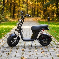 Venta al por Mayor de Fábrica - Motocicleta Eléctrica de 1000W/1500W, Impermeable, Personalizable, con Freno de Disco y Pedal de Correa, la Más Vendida