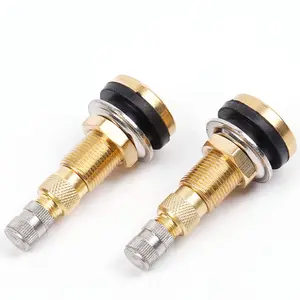 TR618A brass tire valve parts universal air-hydraulic tire valve