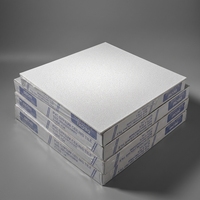 Placas de Techo de PVC y Yeso Personalizables de Primera Calidad, con Revestimiento de Aluminio, Resistentes al Fuego, a la Humedad y al Agua, para Construcción