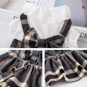 Ropa Ecológica para Mascotas, Falda de Princesa para Perros y Gatos con Lazo y Correa de Tracción, Vestido de Verano de Poliéster, <span class=keywords><strong>DEM</strong></span>/DOM Disponible - Product Image 5